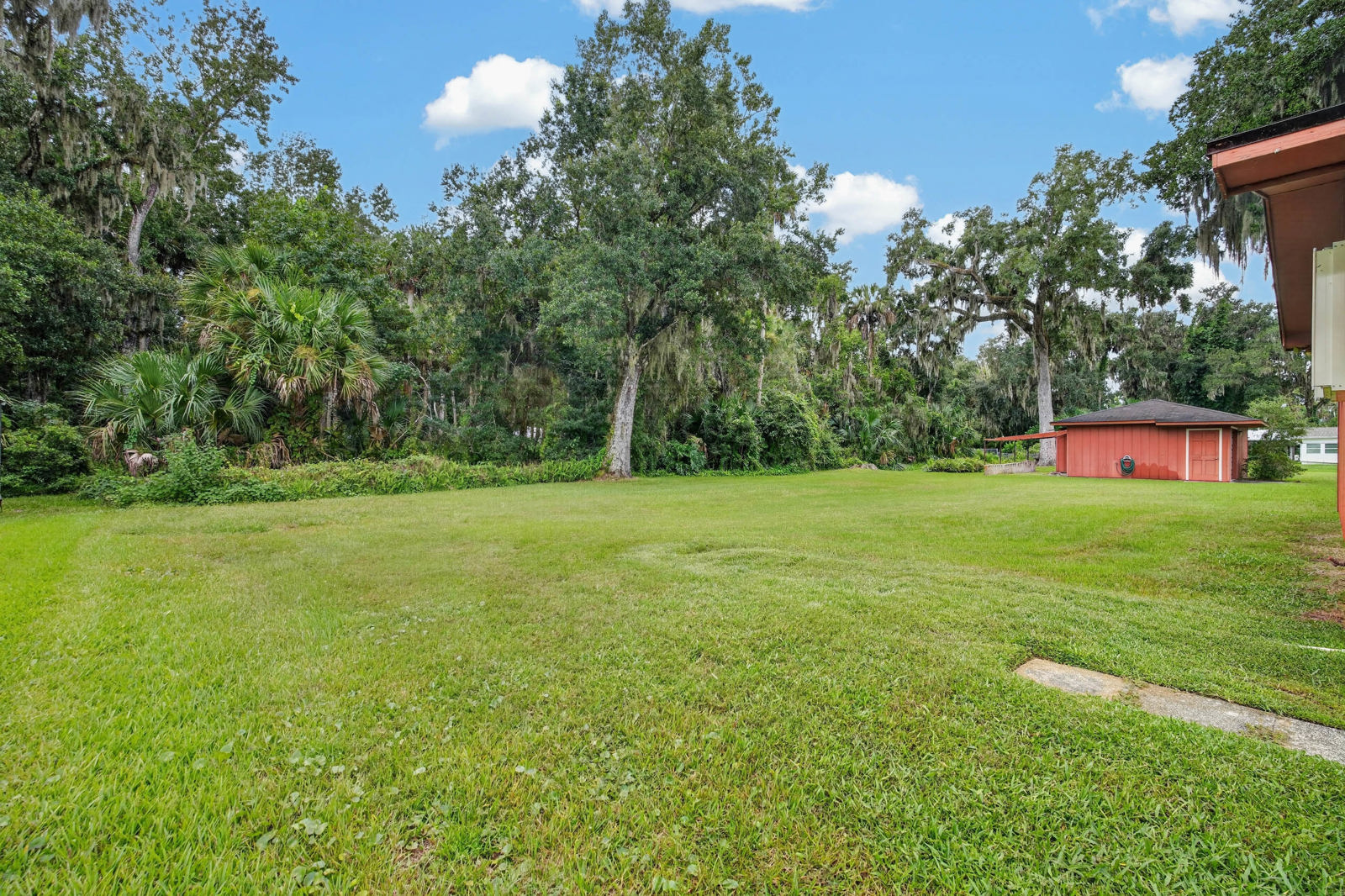 Broad green backyard with mature trees